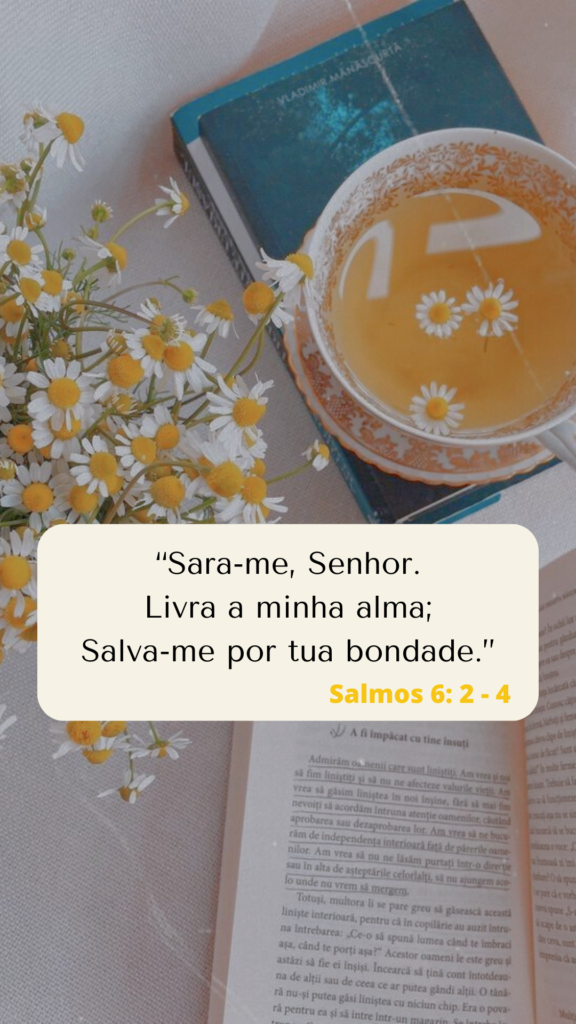 Imagem de um chá de camomila com flores da mesma planta, um livro e um salmo para saúde abaixo.