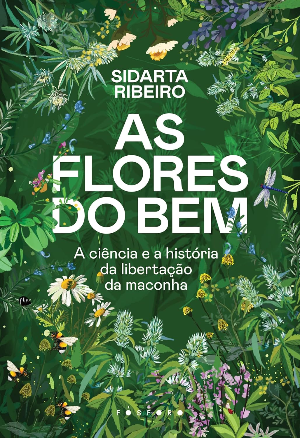 Um presente para maconheiro informativo e interessante